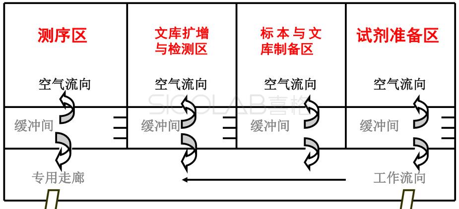 產(chǎn)前篩查與診斷設(shè)計方案SICOLAB