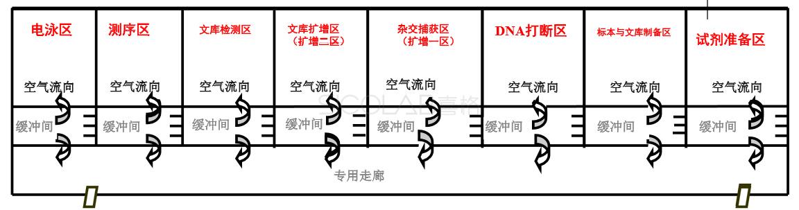 遺傳病診斷+腫瘤診斷與治療實(shí)驗(yàn)室平面.jpg